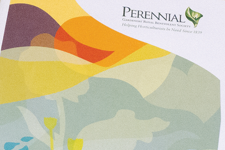 Perennial Annual and Impact Review